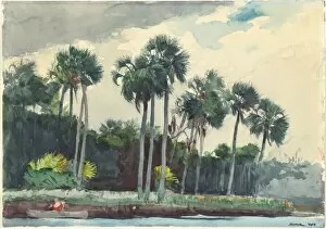 Breeze Gallery: Red Shirt, Homosassa, Florida, 1904. Creator: Winslow Homer