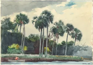 Breeze Gallery: Red Shirt, Homosassa, Florida, 1904. Creator: Winslow Homer