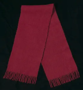 Howard University Prints: Red wool scarf worn by Joan Mulholland during a protest near the White House, 1960