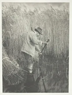 Edition Of 200 Prints: A Reed-Cutter at Work, 1886. Creator: Peter Henry Emerson