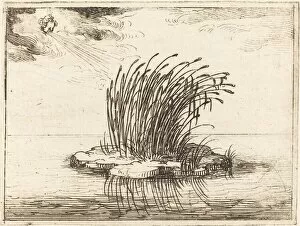 Reed Gallery: The Reeds and the Wind, 1628. Creator: Jacques Callot