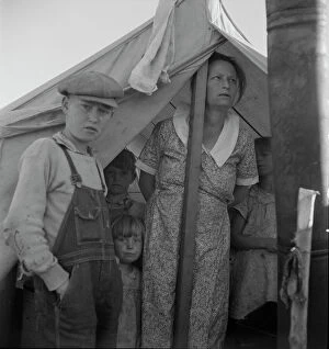 Bib Overalls Collection: Refugee family from the Rio Grande Valley, Texas, near Holtville, California, 1937