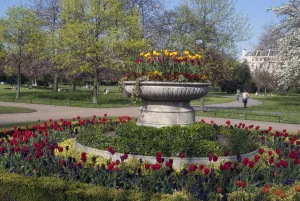 Regents Park - Springtime floral displays in Regents Park, London, NW1. England