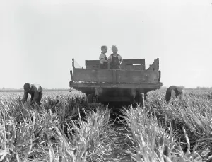 Formerly rehabilitation clients now operating own farm, near Manteca, California, 1938. Creator: Dorothea Lange