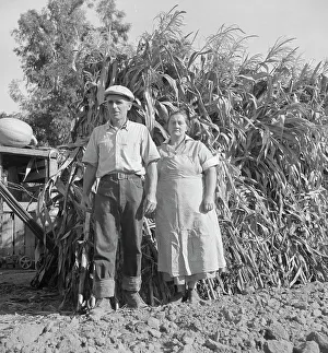 Jeans Prints: Rehabilitation family, near Visalia, California, 1938. Creator: Dorothea Lange