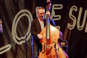 Anderson Collection: Reid Anderson, Love Supreme Jazz Festival, Glynde Place, East Sussex, July 2015. Artist