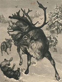 Breathing Prints: The Reindeer, c19th century