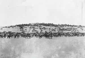 Antler Prints: Reindeer in the Kuskokwim Valley