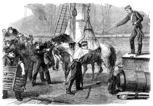 Hydraulic Prints: The Reinforcements for Canada: shipping horses on board the Calcutta at Woolwich by