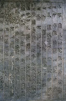 Achaemenian Collection: Relief of cuneiform text, the Apadana, Persepolis, Iran