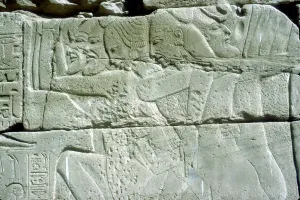 Amun Prints: Relief depicting captives of war, Temple of Amun, Karnak, Egypt