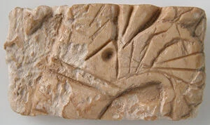 Relief Fragment with Lotus Design, Coptic, 6th-7th century. Creator: Unknown