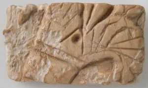 Relief Fragment with Lotus Design, Coptic, 6th-7th century. Creator: Unknown Relief Fragment with Lotus Design, Coptic, 6th-7th century. Creator: Unknown