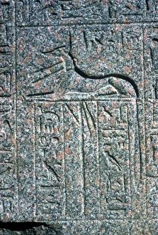 Granite Prints: Relief on granite sarcophagus of Anubis, Memphis, Egypt, Middle kingdom period
