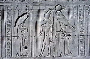 Lotus Prints: Relief of Horus (falcon-headed god), Temple of Horus, Edfu, Egypt, c251 BC - c246 BC