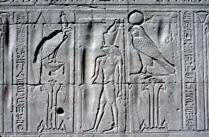 Relief of Horus (falcon-headed god), Temple of Horus, Edfu, Egypt, c251 BC - c246 BC