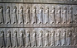 Achaemenid Collection: Relief of Immortals, the Apadana, Persepolis, Iran