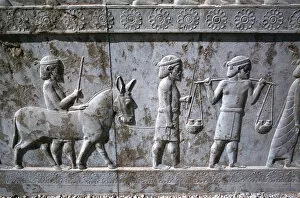 Achaemenian Gallery: Relief of Indians, the Apadana, Persepolis, Iran