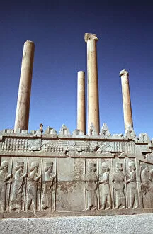 Apadana Gallery: Relief of Medes and Persians, the Apadana, Persepolis, Iran