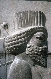 Apadana Gallery: Relief of a Persian man, the Apadana, Persepolis, Iran