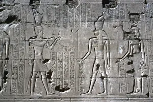 Falcon Prints: Relief of the Pharaoh before Horus