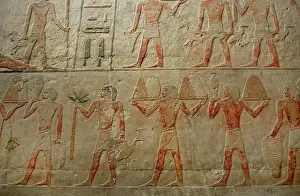 Relief showing offering bearers, Mastaba of Ti, Egypt, 5th Dynasty, Old Kingdom, c2400 BC (2003). Creator: Unknown