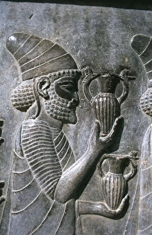Achaemenid Collection: Relief of Syrians or Lydians, the Apadana, Persepolis, Iran