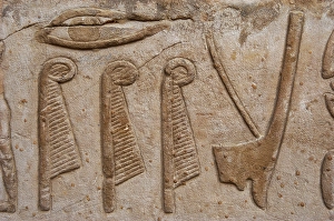 Reliefs depicting hieroglyphic signs, ostrich feathers and crown of...Temple of Edfu, Egypt...(2003) Creator: LTL