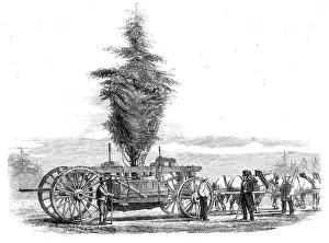 Draft Horse Prints: Removal of a large tree from Chiswick to the new gardens of the Horticultural Society