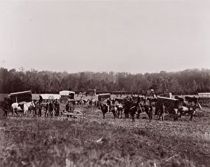 Andrew J Russell Prints: Removing Dead from Battlefield, Maryes Heights, May 2, 1864, 1864