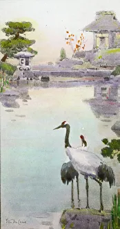 Ornamental Pond Prints: Reproduction of illustration: Garden Coolies