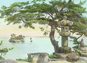 Toro Prints: Reproduction of illustration: Pine-Tree at Matsushma