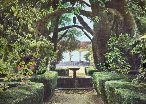 Reproduction of illustration showing a garden fountain, between 1915 and 1925. Creator: Frances Benjamin Johnston