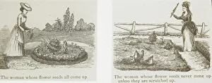 Water Can Prints: Reproduction of illustrations showing women and flower seeds