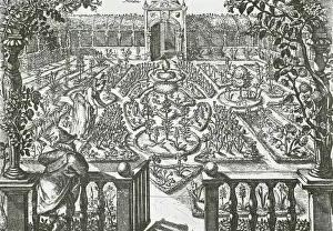 Flower Beds Prints: Reproduction of print showing a flower garden