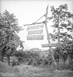 Resettlement Prints: Resettlement project located near Gainesville, Georgia, 1936. Creator: Dorothea Lange