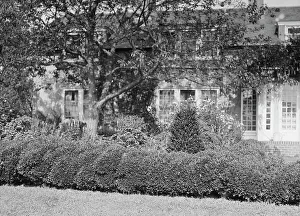 Hedge Prints: Residence of Mr. Hamilton King, between 1911 and 1934. Creator: Arnold Genthe