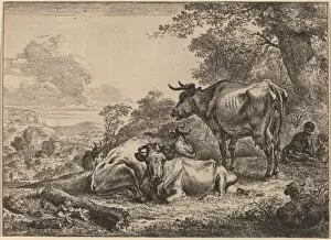 Resting Cows. Creator: Nicolaes Berchem