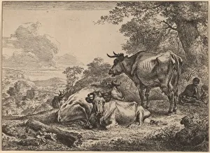 Nicolaes Berghem Prints: Resting Cows. Creator: Nicolaes Berchem