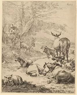 Berghem Nicolaes Collection: Resting Herd. Creator: Nicolaes Berchem