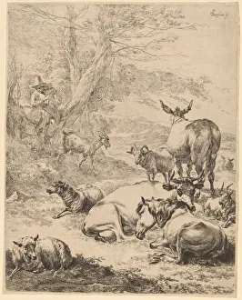 Nicolaes Berghem Prints: Resting Herd. Creator: Nicolaes Berchem
