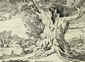 Resting, Men and Dogs Under a Big Tree, from the first issue of Specimens of... 1802, pub 1803. Creator: William Alfred Delamotte