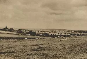 Town Planning Gallery: Resting Sheep in the Pastures of North London: A View of Hampstead Garden Suburb, c1935