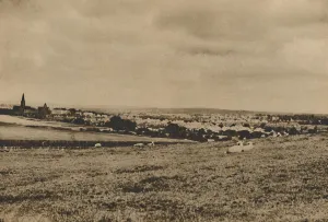 Town Planning Prints: Resting Sheep in the Pastures of North London: A View of Hampstead Garden Suburb, c1935