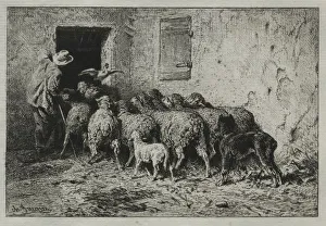 Charlesemile Jacque French Prints: The Return, 1864. Creator: Charles-Emile Jacque (French, 1813-1894)