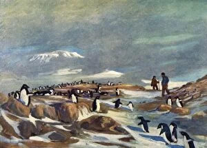 Explorer Collection: Return of the Penguins, c1908, (1909). Artist: George Marston