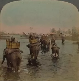 Underwood Gallery: Returning to camp after a days shoot, Bebar jungle, India, 1909