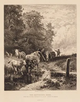 Peter Moran Prints: The Returning Herd, c. 1885. Creator: Peter Moran (American, 1841-1914)