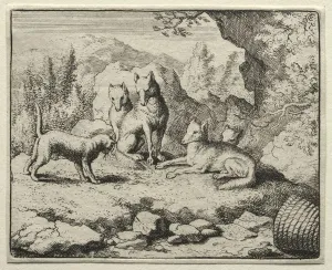 Reynard the Fox: The Cat Calls Reynard to Court. Creator: Allart van Everdingen (Dutch, 1621-1675) Reynard the Fox: The Cat Calls Reynard to Court. Creator: Allart van Everdingen (Dutch, 1621-1675)