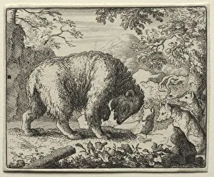Allart Van Everdingen Dutch Prints: Reynard the Fox: Reynard Promises Honey to the Bear. Creator: Allart van Everdingen (Dutch